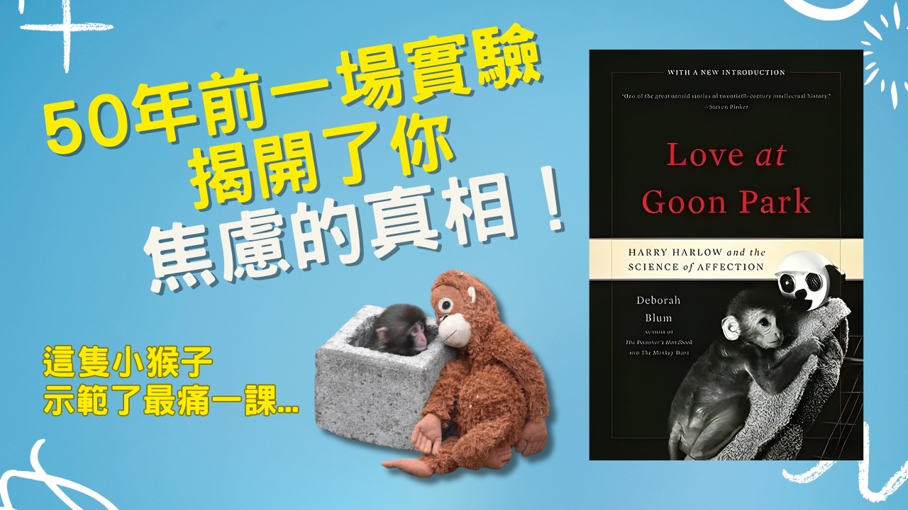 【個人成長】50年前這場實驗，揭開了你焦慮的真相 🐒 拆解《愛與依戀的力量》| 廣東話 Podcast | 關於孤獨、社交焦慮、停止內耗