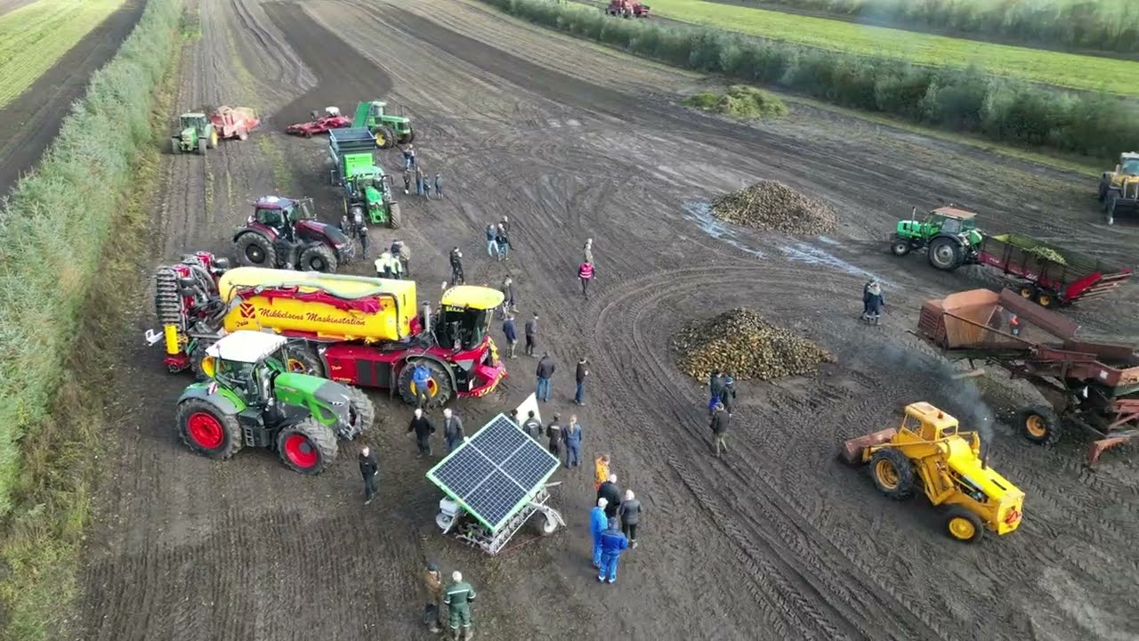 Roedag 2025