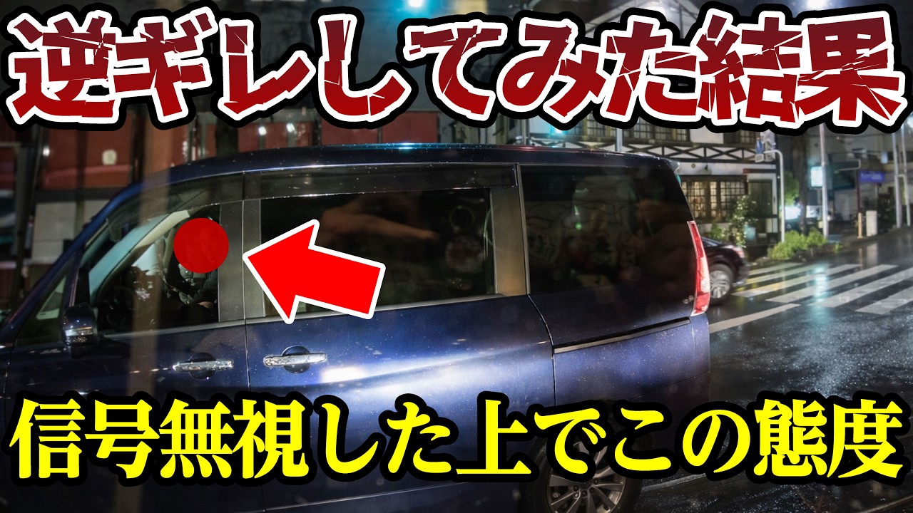 信号無視をした上で、逆ギレをしてみた結果、最高にダサい親父の姿を披露 【閲覧注意】交通事故・危険運転 衝撃の瞬間【461】