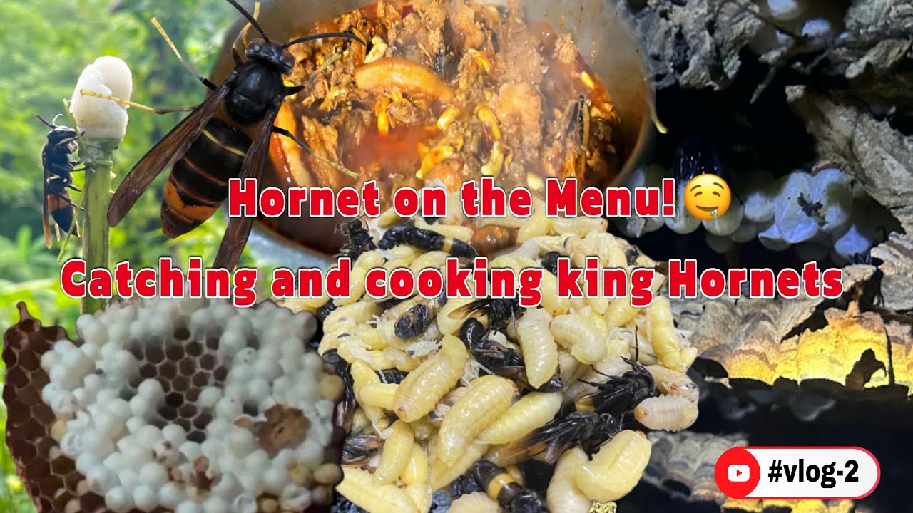 “Authentic Angami Delicacies You Must Try” #nagaland#hornet #adventure 