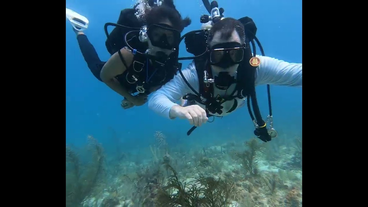 Scuba diving in Key Largo