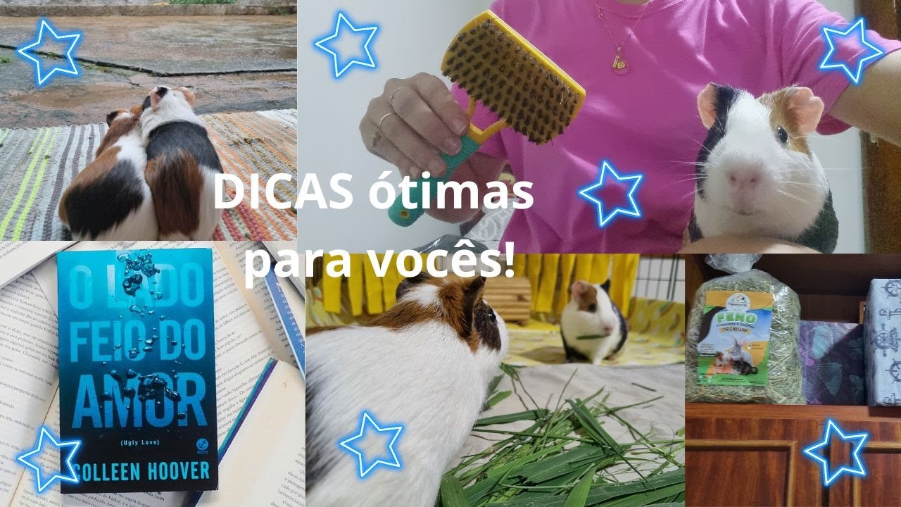 VLOG ROTINA COMPLETA: limpeza do cercado, higiene, camomila, chuvinha e muito mais! 💕💕💕