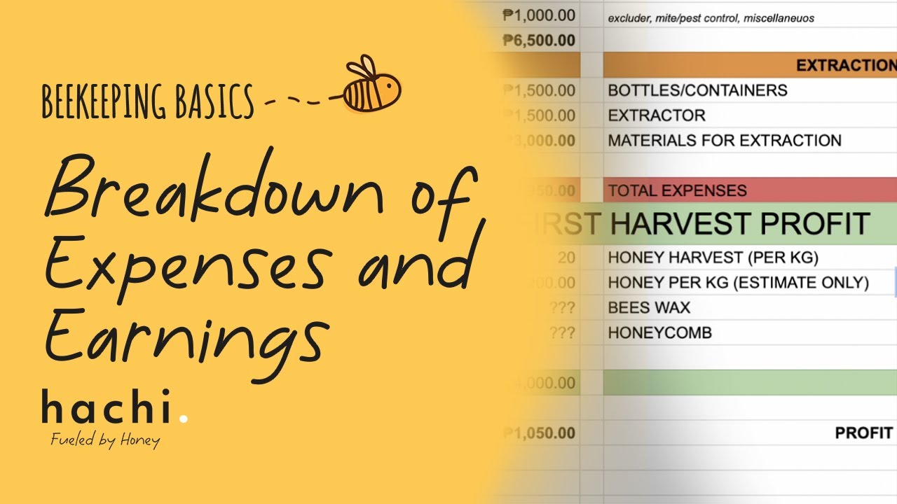 Beekeeping in the Philippines - Estimated Expenses and Earnings