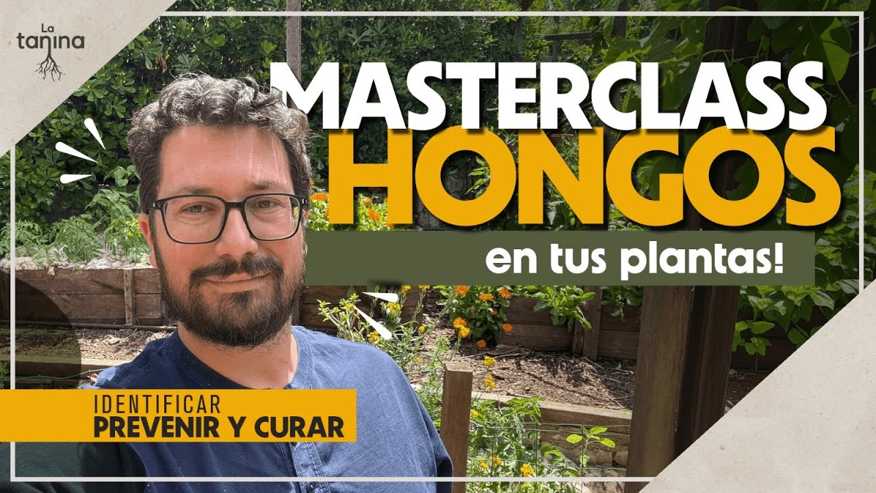 El Secreto para un huerto ecológico sin hongos: Guía práctica