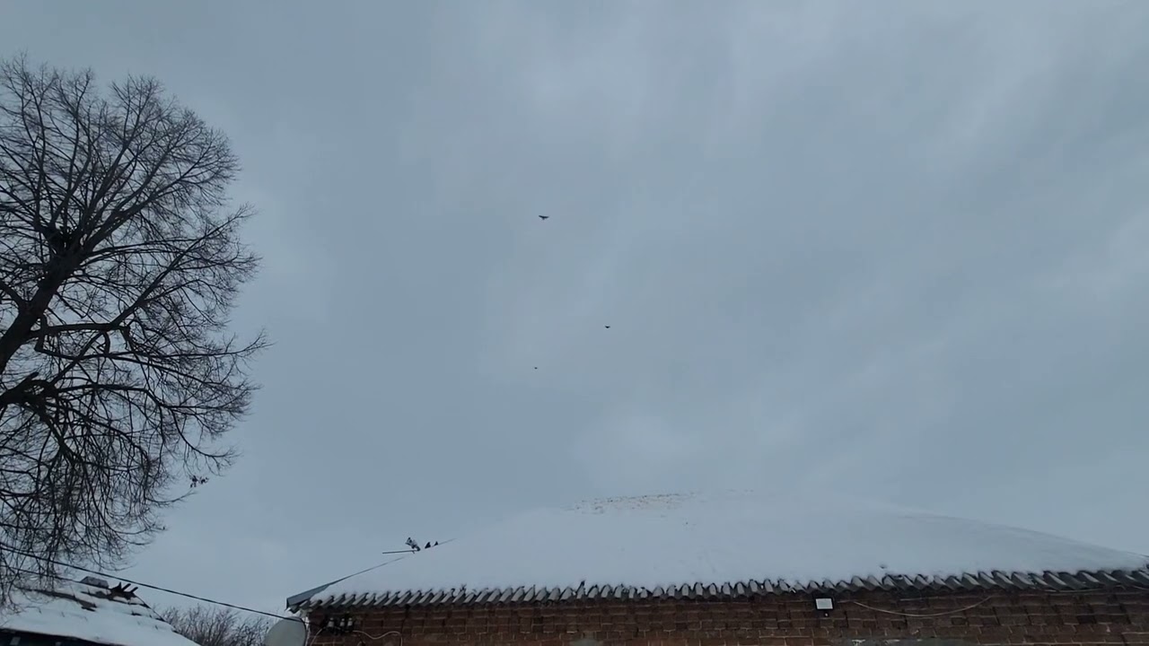 13.02.2026.г. продолжаю по немногу тренировать.