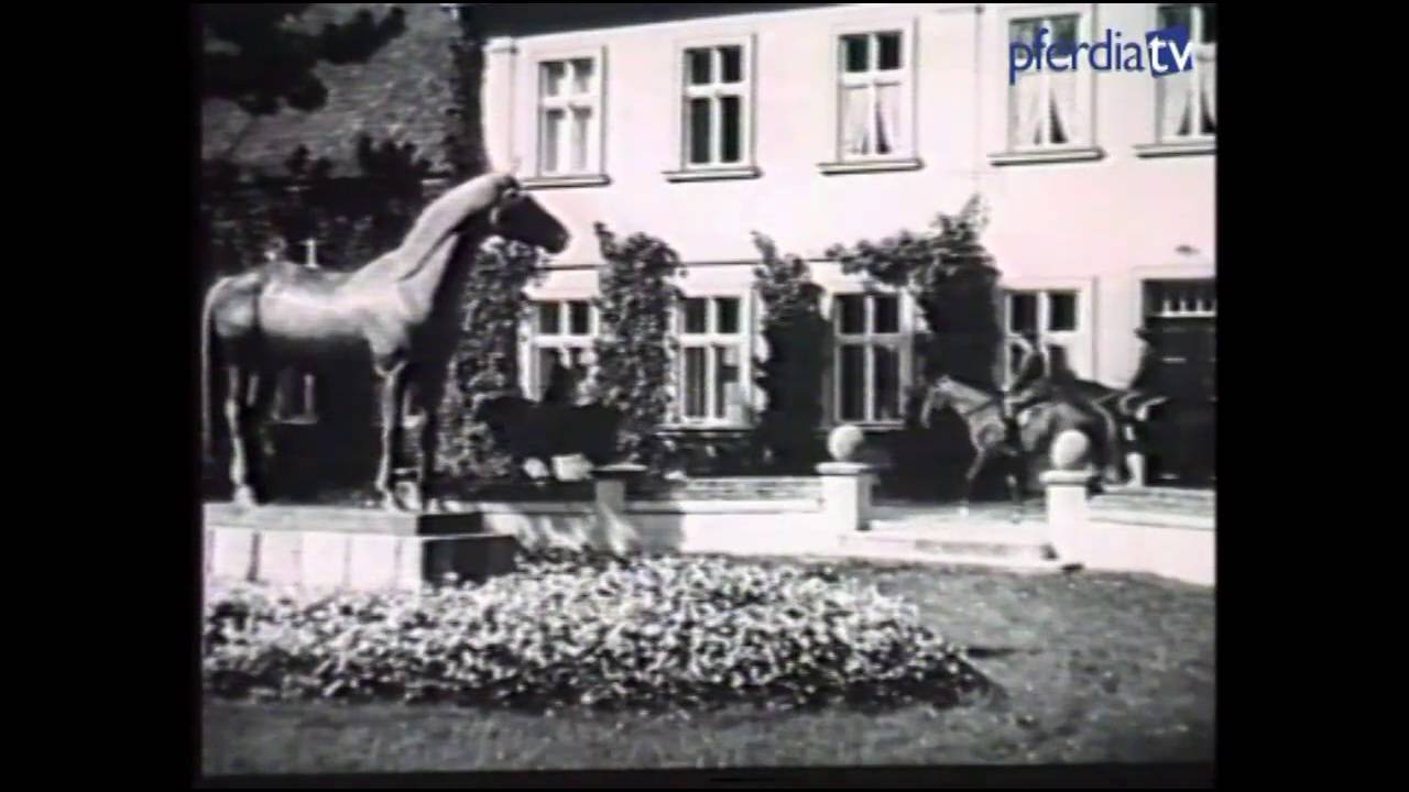 Eine Reise nach Trakehnen mit Hans Joachim Köhler