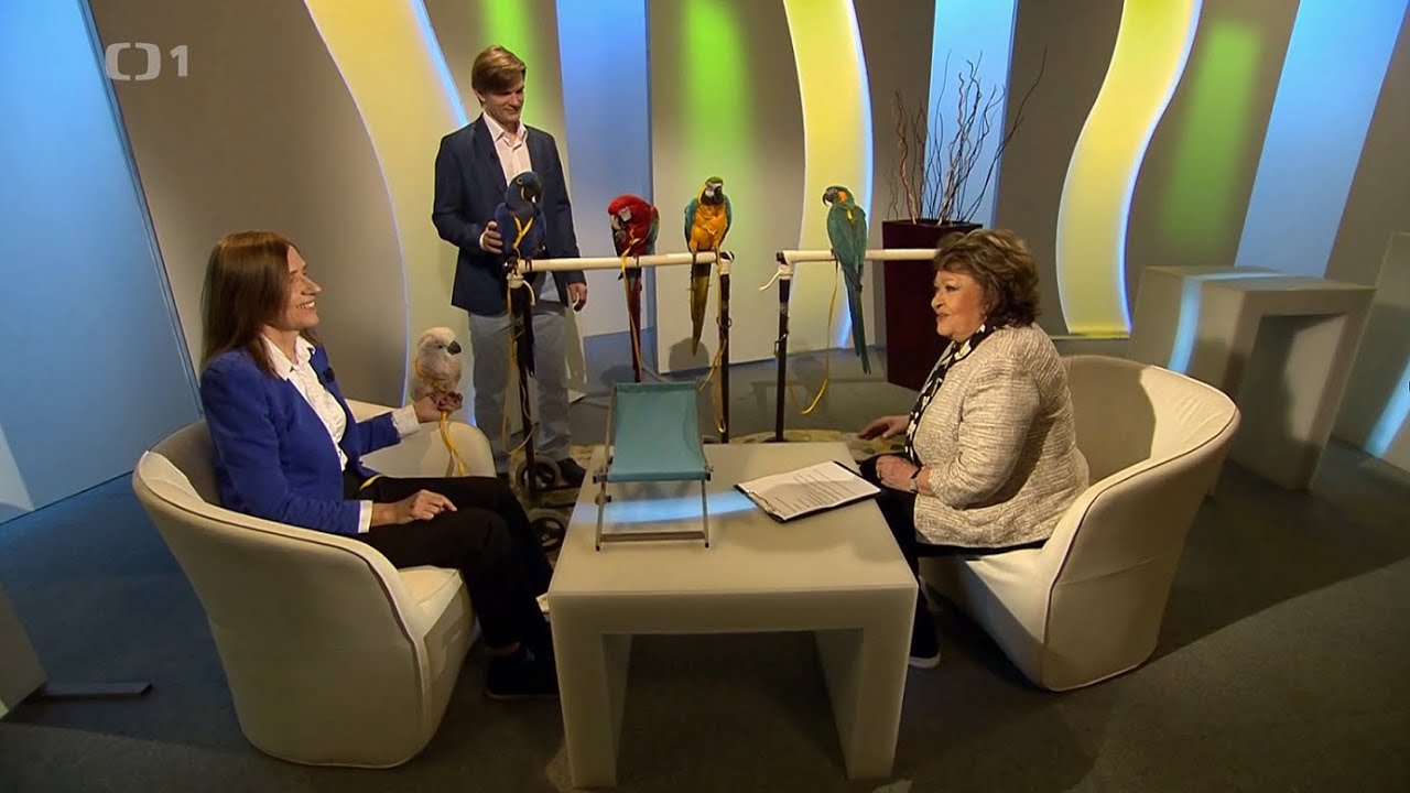 201 - Naši papoušci v České televizi s Jiřinou Bohdalovou