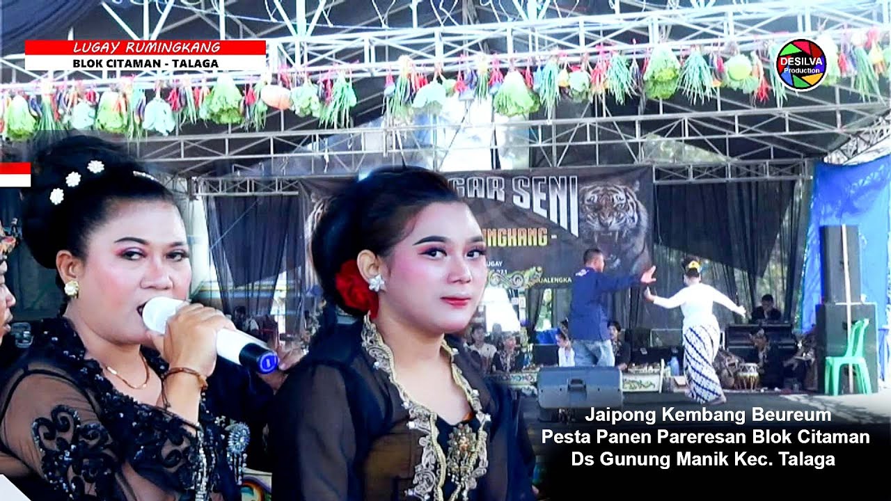 Jaipong Kembang Beureum Lugay Rumingkang Pesta Panen Pareresan Blok Citaman Ds Gunung Manik