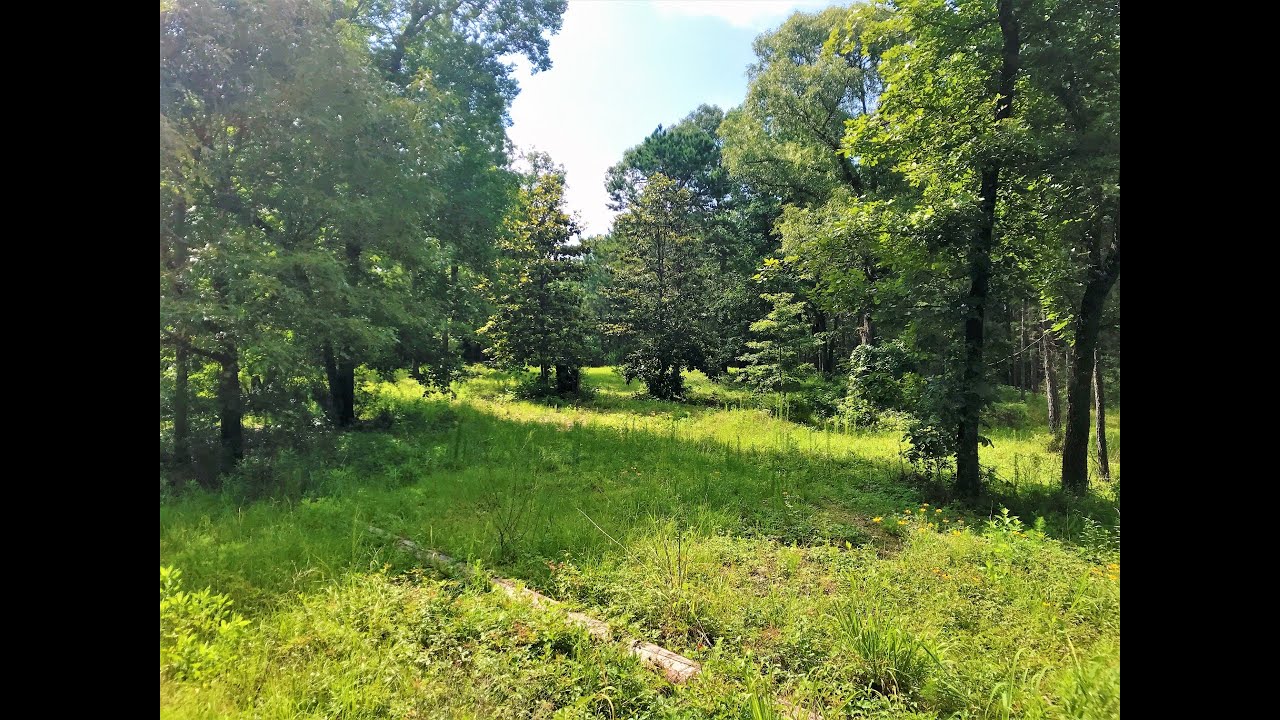 UNRESTRICTED 2 Acres Cleared RV/Mobile Land w/ Electric, Water in Tyler County TX