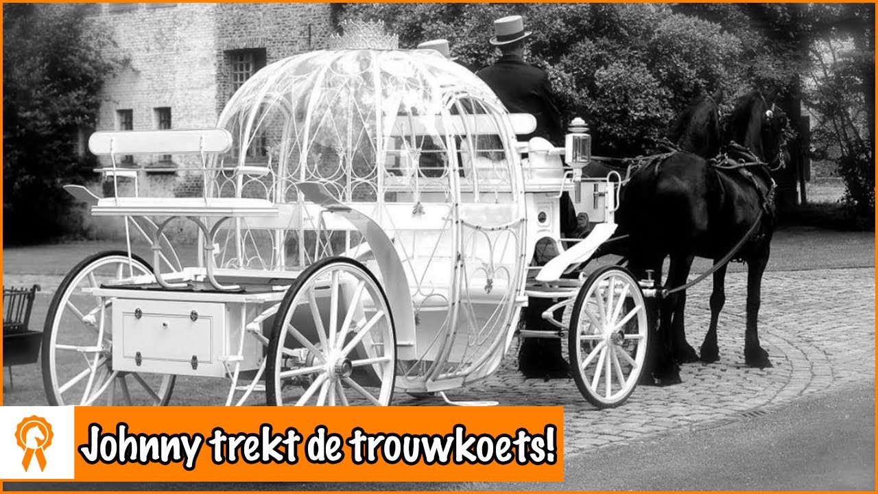 In welke koets gaat Britt trouwen?! | PaardenpraatTV