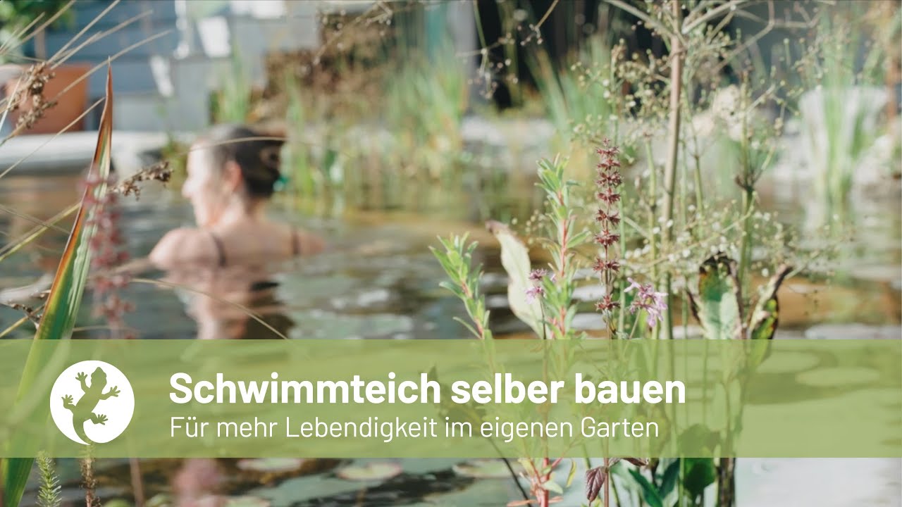 DIY-Schwimmteich · Testimonial · Katharina & Rolf (Region Thurgau)