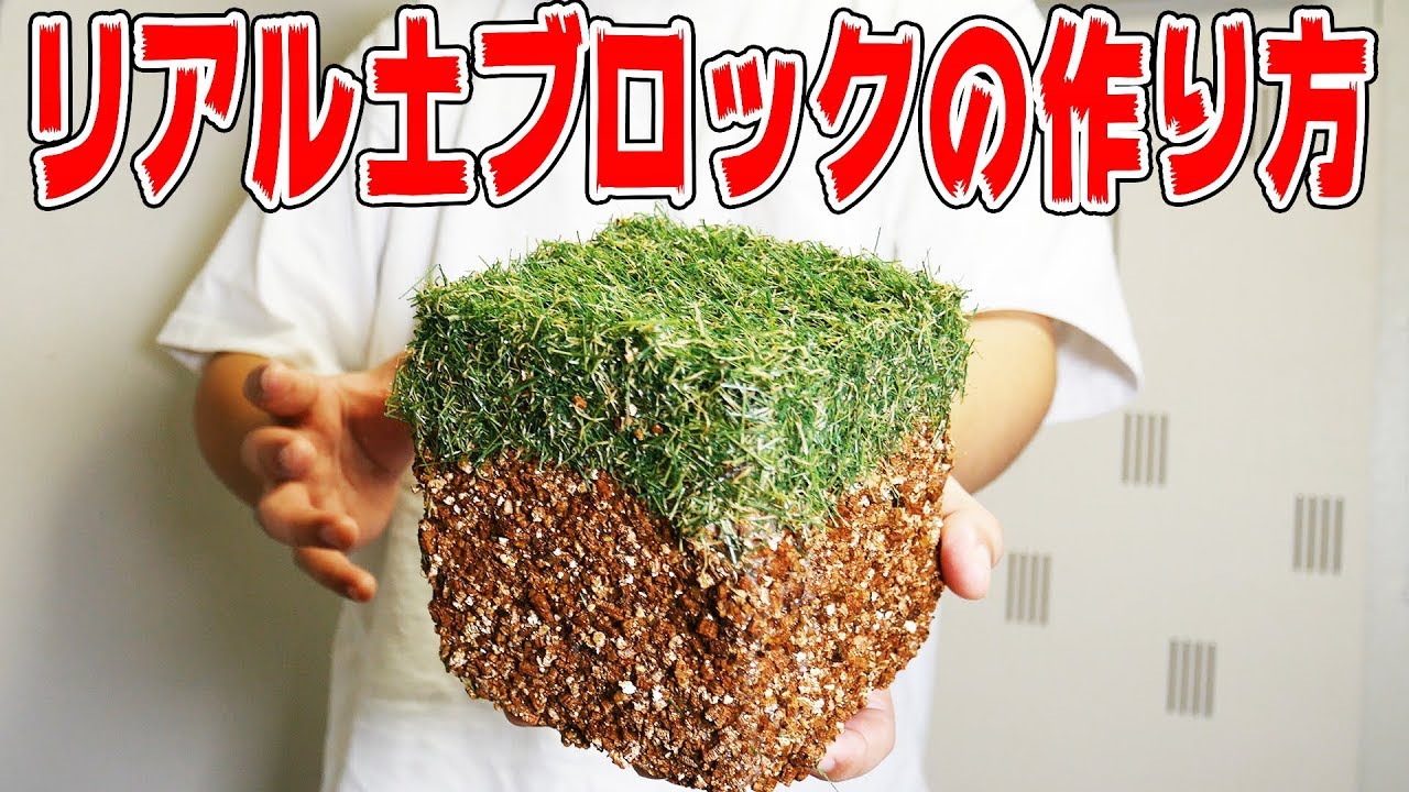 現実世界でマイクラの世界を再現！簡単草ブロックの作り方！【DIY自由研究部】