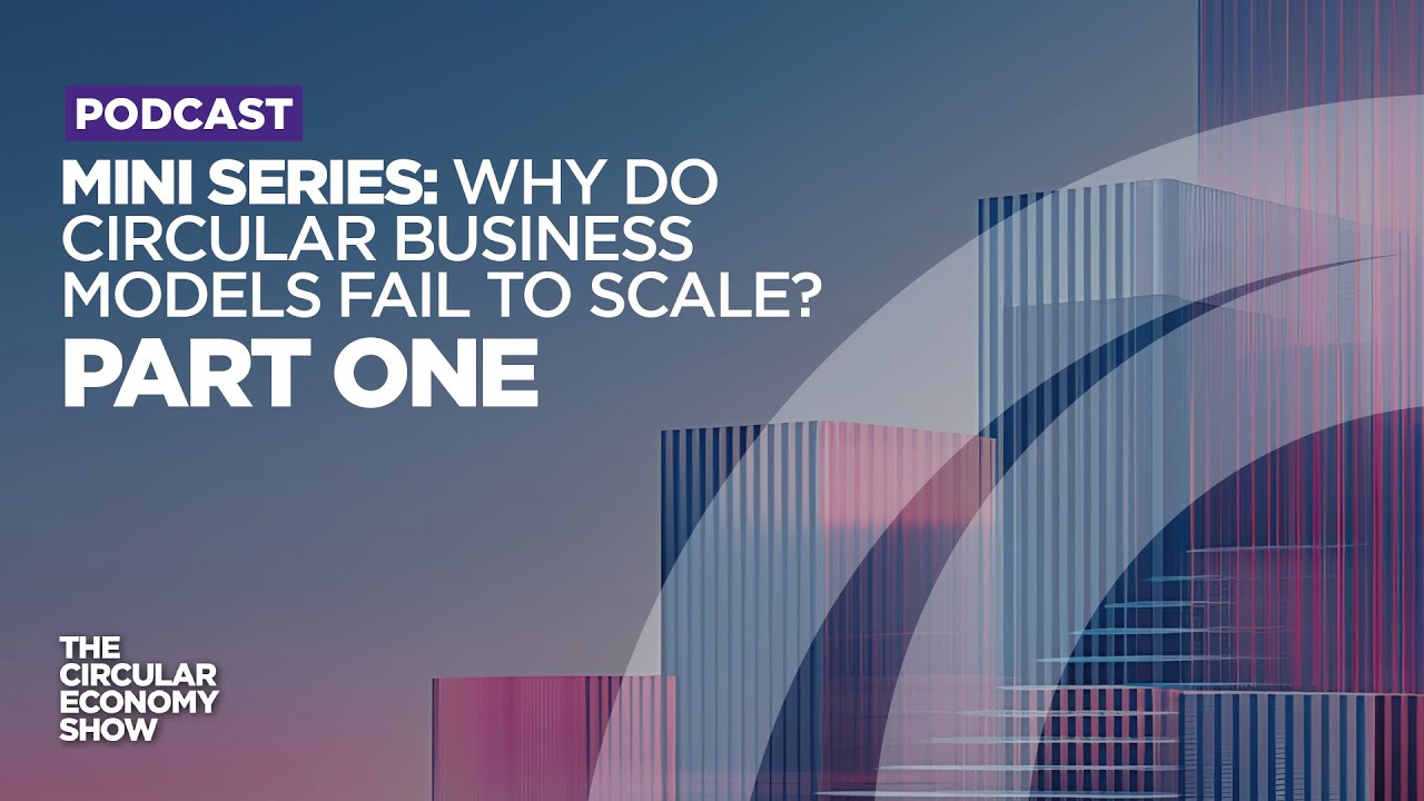 Why do circular business models fail to scale? Don’t think too small