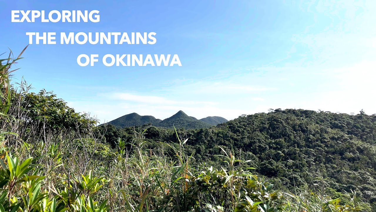 【沖縄山探索】Stroll around Mt. Tamatsuji and Mt. Akamata in Okinawa.（玉辻山、赤又山周辺を探索する）
