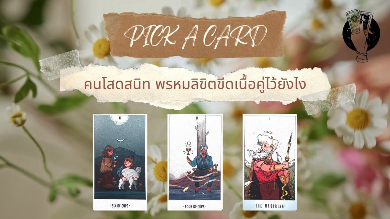 PICK A CARD EP.25 คนโสดสนิท พรหมลิขิตขีดเนื้อคู่ไว้ยังไง l Soulmate’s destiny way