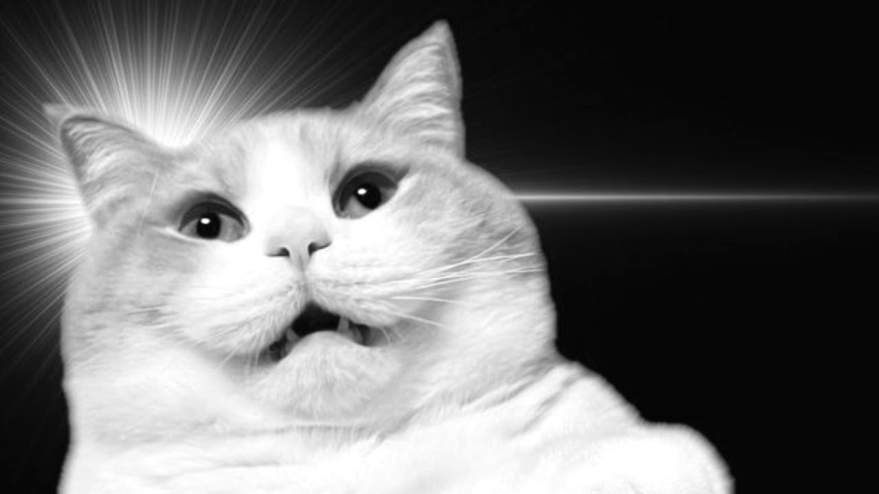 初見マリオカート8DX #short