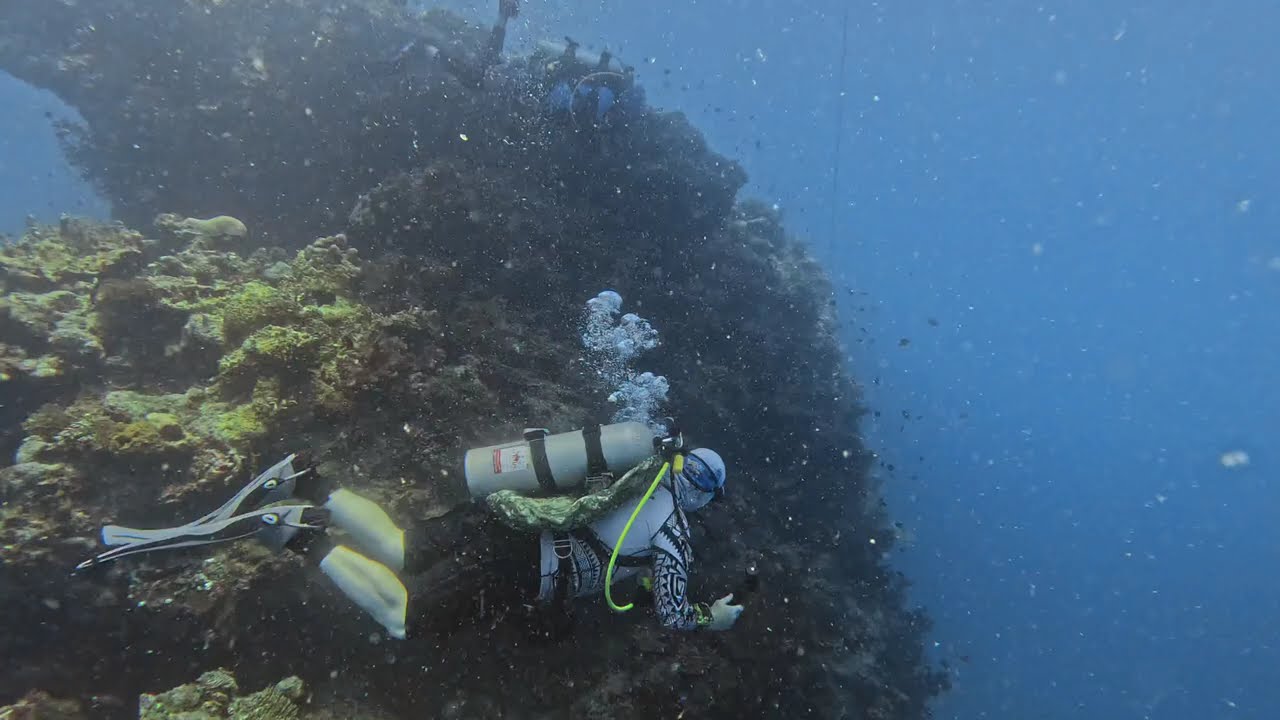 Beqa Lagoon Fiji Dives