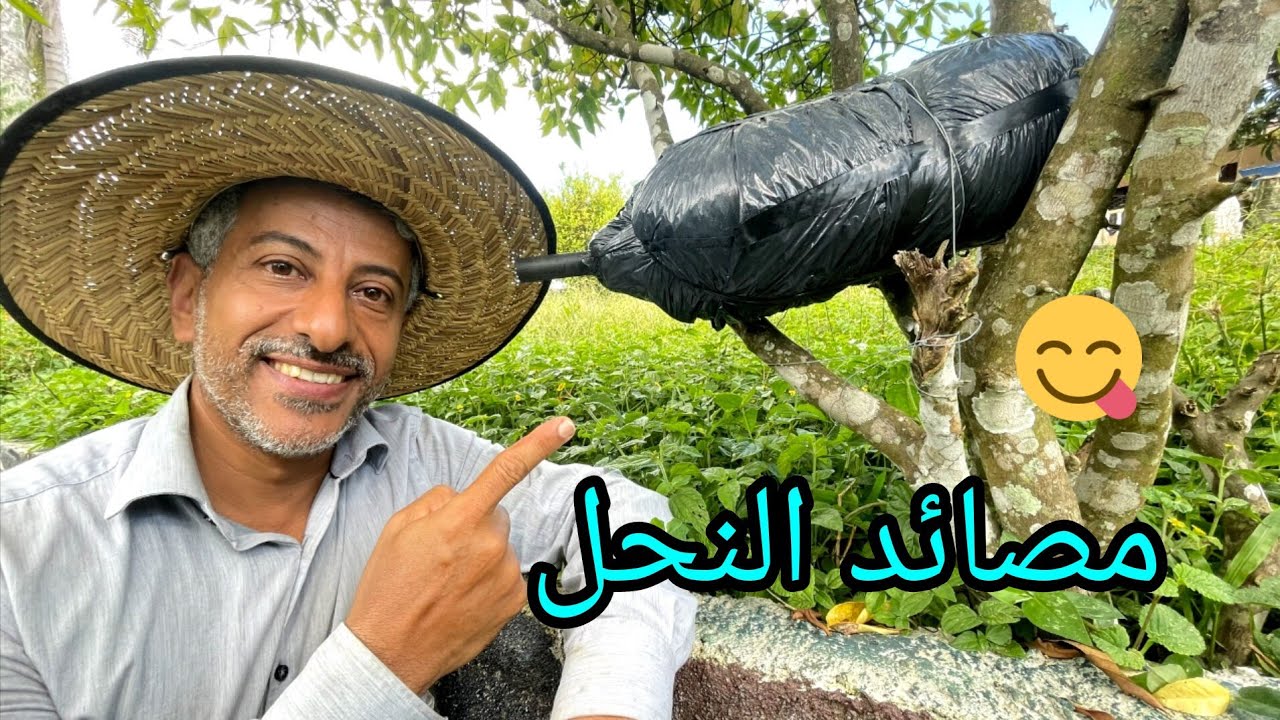 النحل الغير لاسع 🐝 الطريقة الصحيحة لعمل مصائد للنحل 🙂