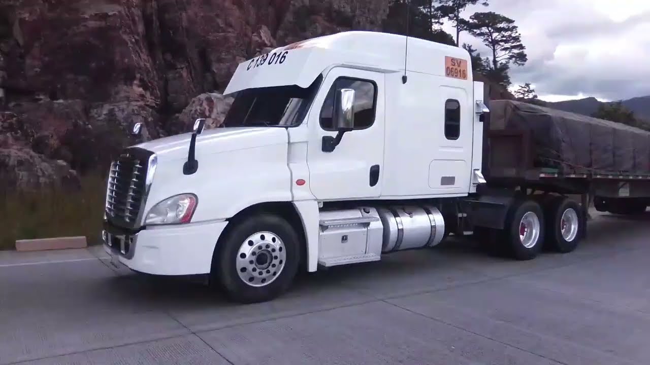 Los mejores trailers y buses del sur #trailer #viral 