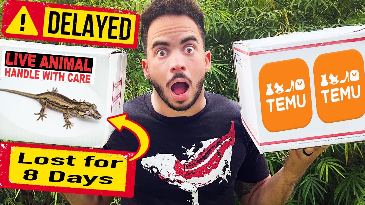 Temu Haul for Reptiles & UPS Lost My Gecko! (Unboxing)