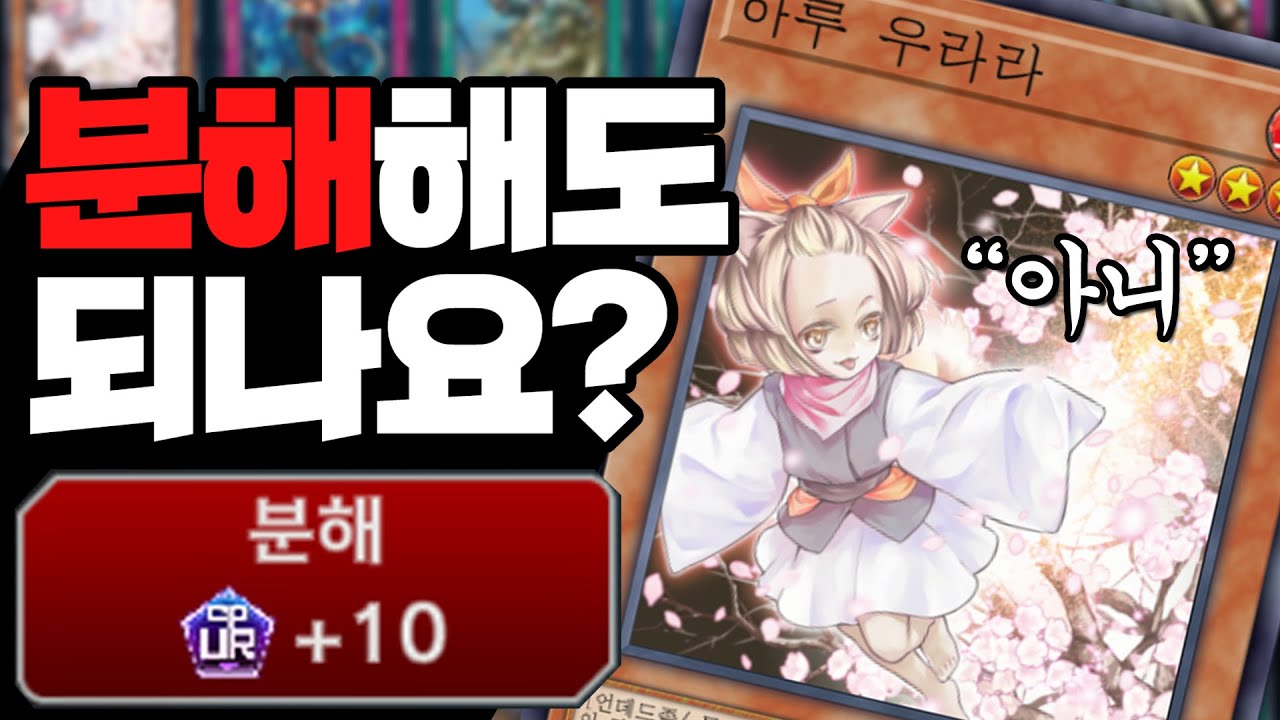 [마스터듀얼] 갈면 안 되는 범용 카드 정리
