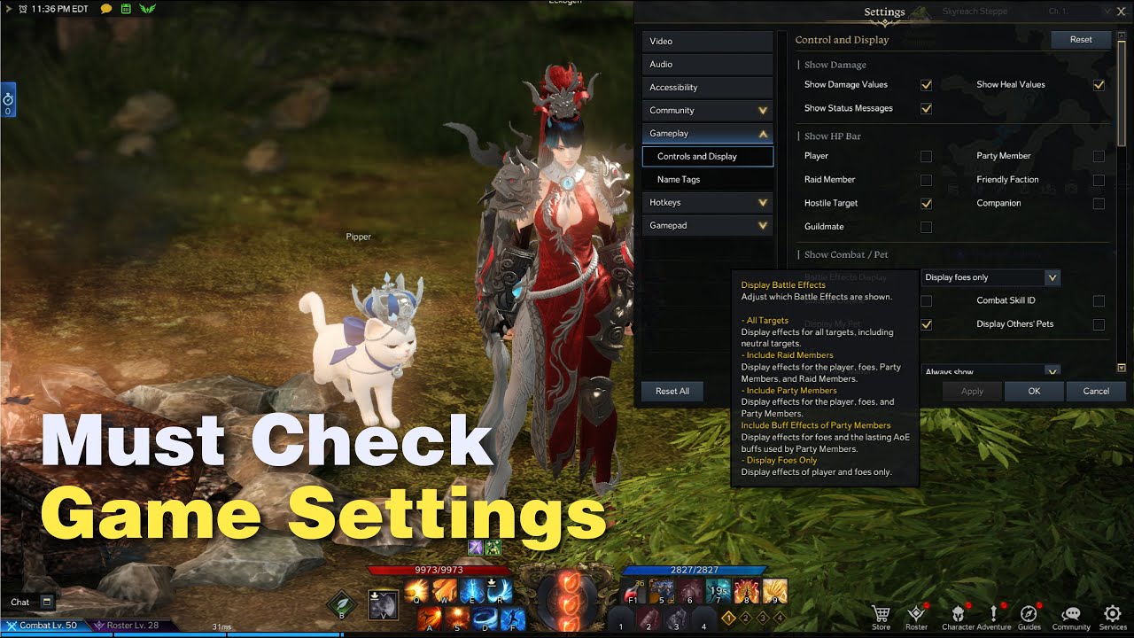Lost Ark Must Check Game Settings