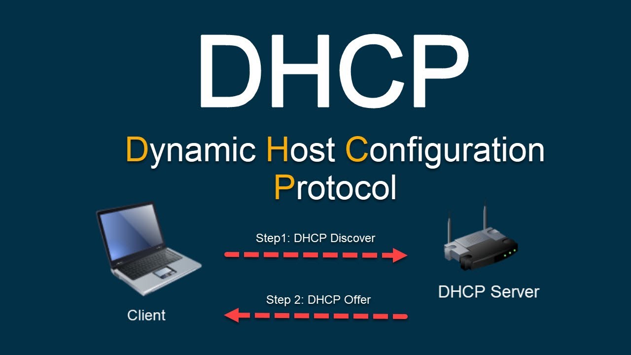 Руководство по DHCP: как работает протокол динамической конфигурации хоста (DHCP)