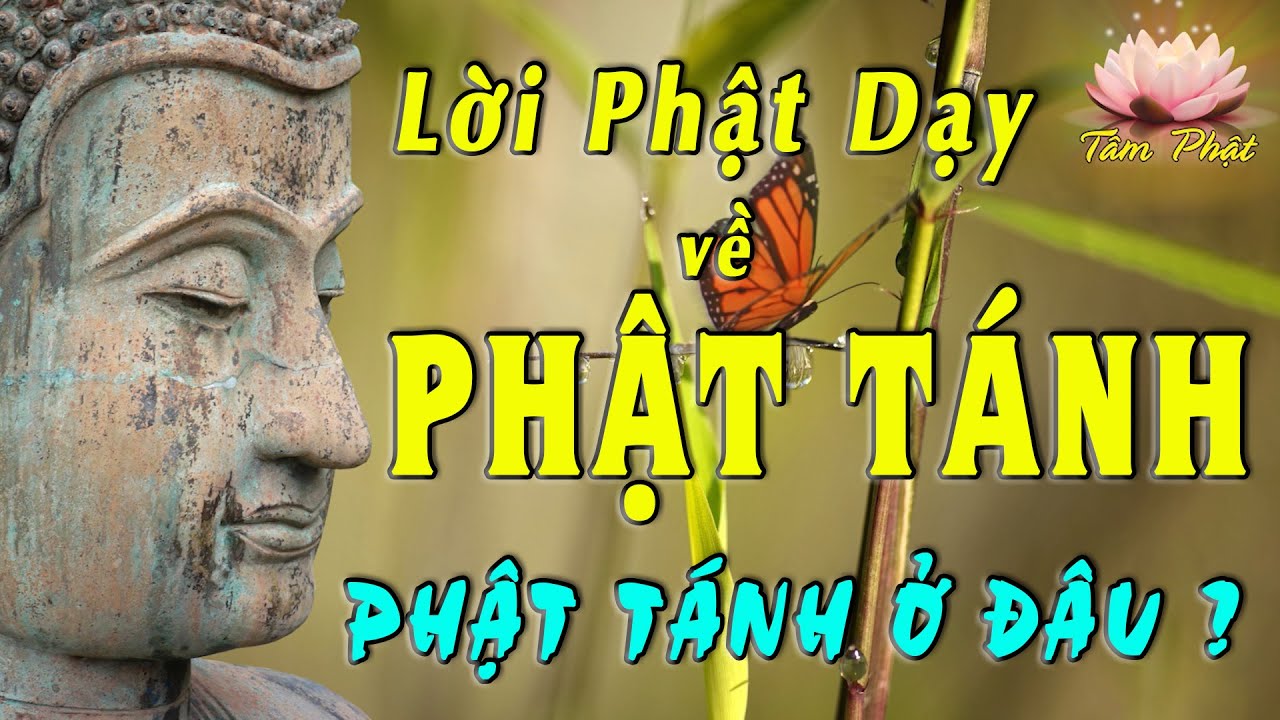 LỜI PHẬT DẠY VỀ PHẬT TÁNH  - Phật Tánh Ở Đâu ?