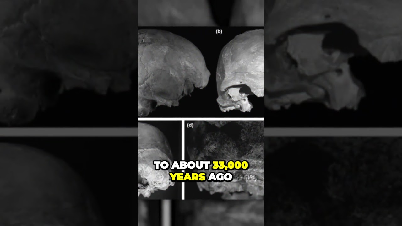 Mysterious Skull Unearthed in Romanian Cave Reveals 33000YearOld Crime