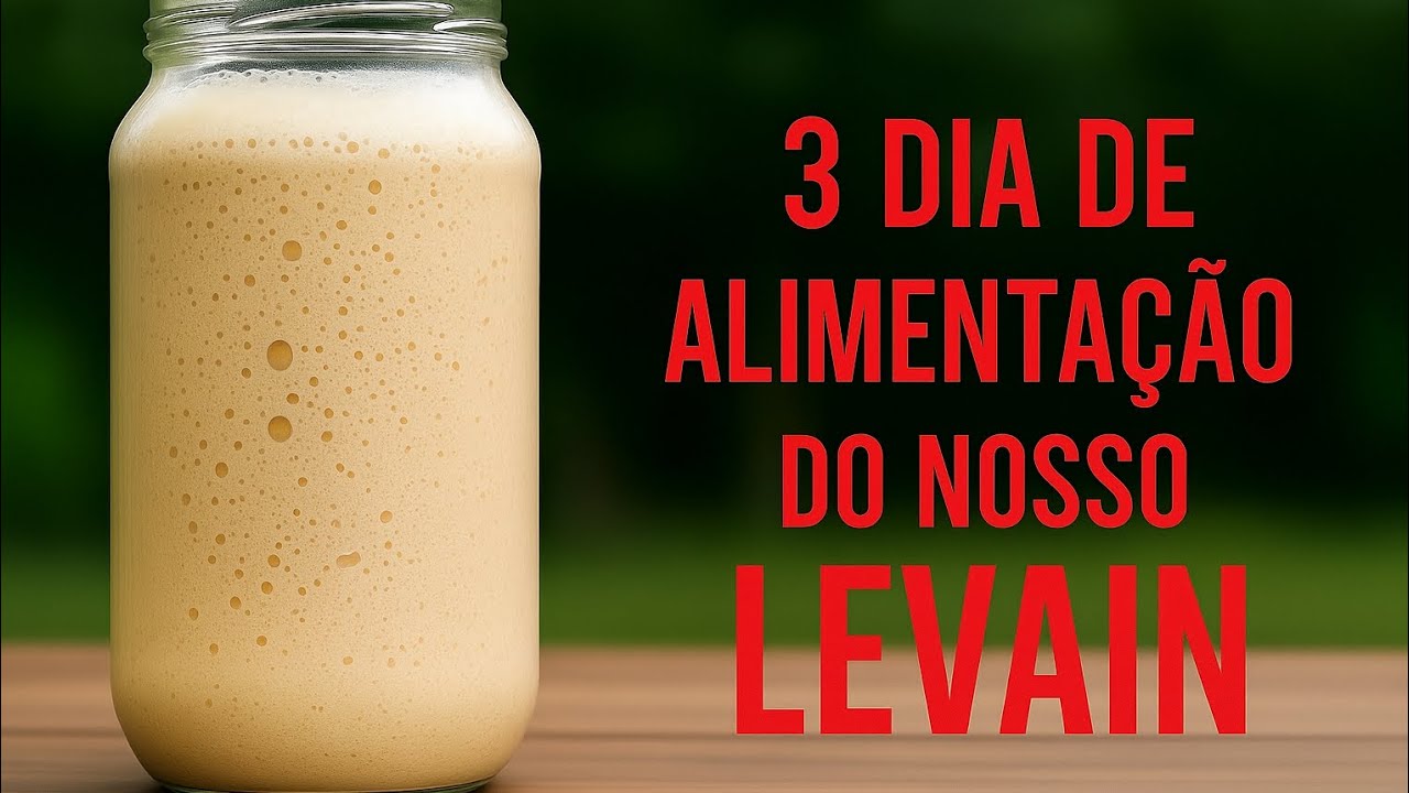 CRIANDO MEU FERMENTO NATURAL DO ZERO COM APENAS 3 INGREDIENTES 