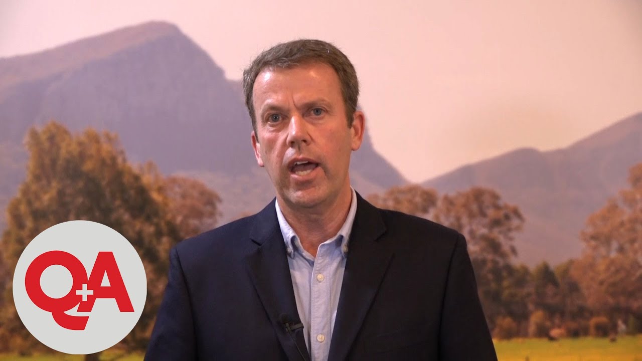 COVID-19: Dan Tehan on Conflicting Government Information on Schools | Q+A