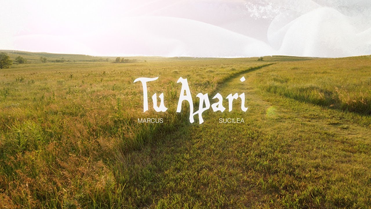 Tu apari
