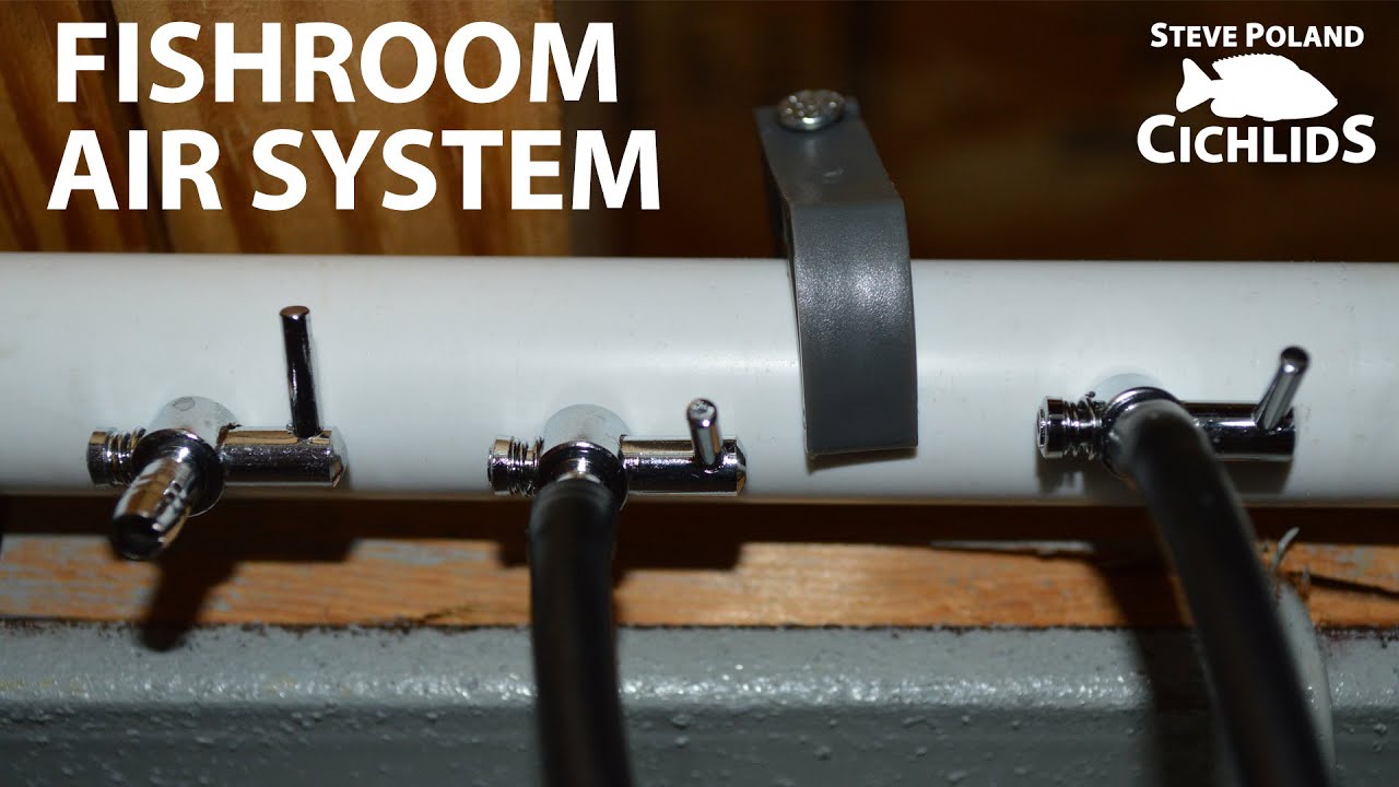 Fishroom Air System