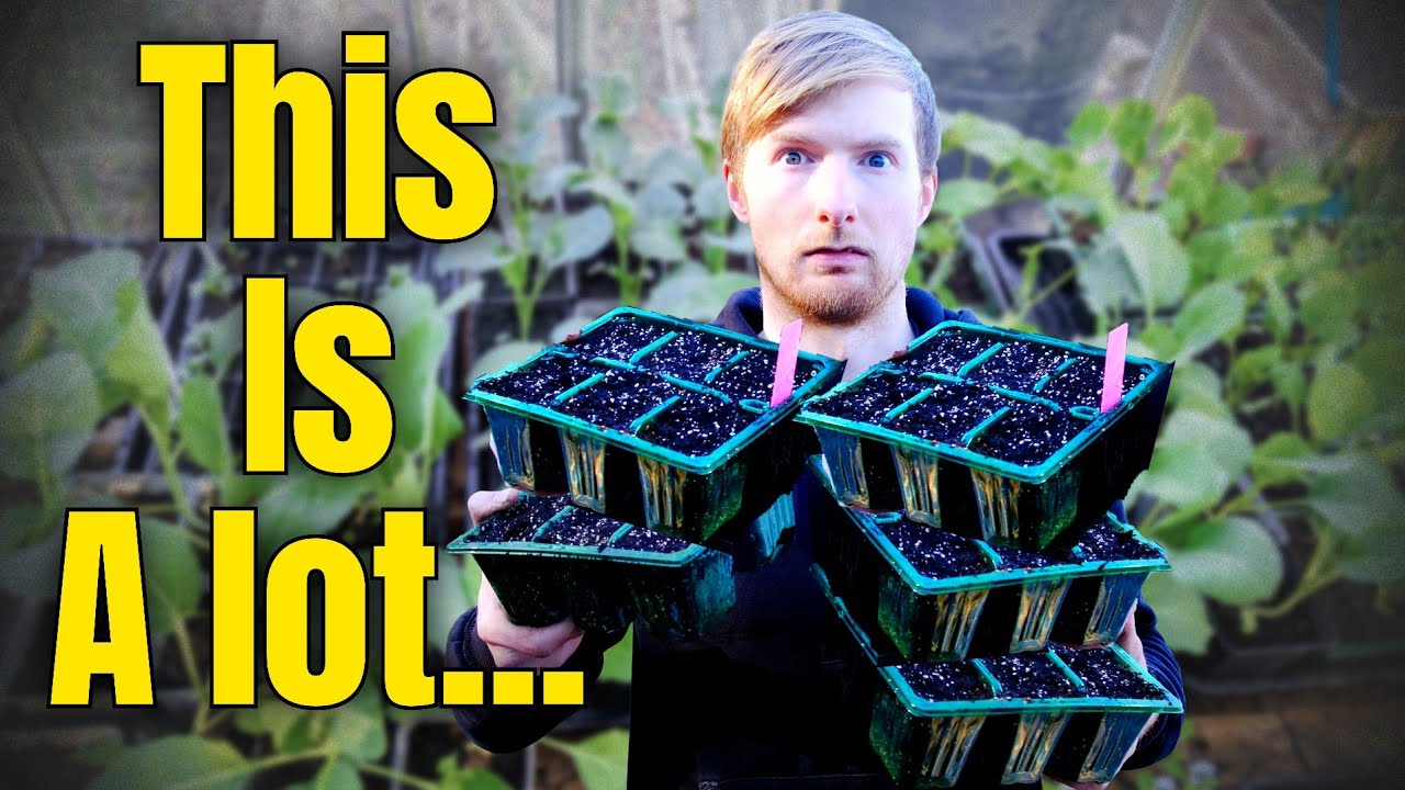 I'm Sowing ALL My March Seeds Today