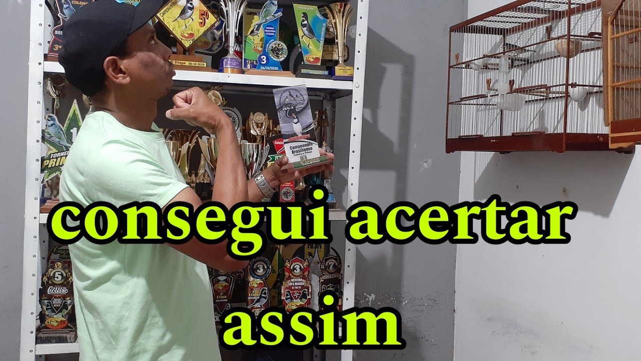COM ESSA MEXIDA VOCÊS VAI CASAR E ACERTAR qualquer  FRIO coleiro na fibra