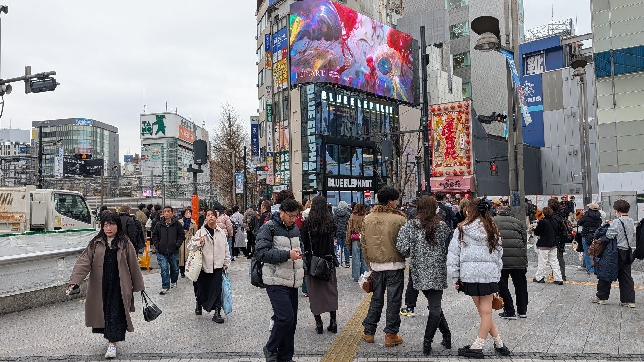 【高画質FHDお散歩ライブカメラ】新宿　散歩　Shinjyuku walking【live camera】2026/02/26