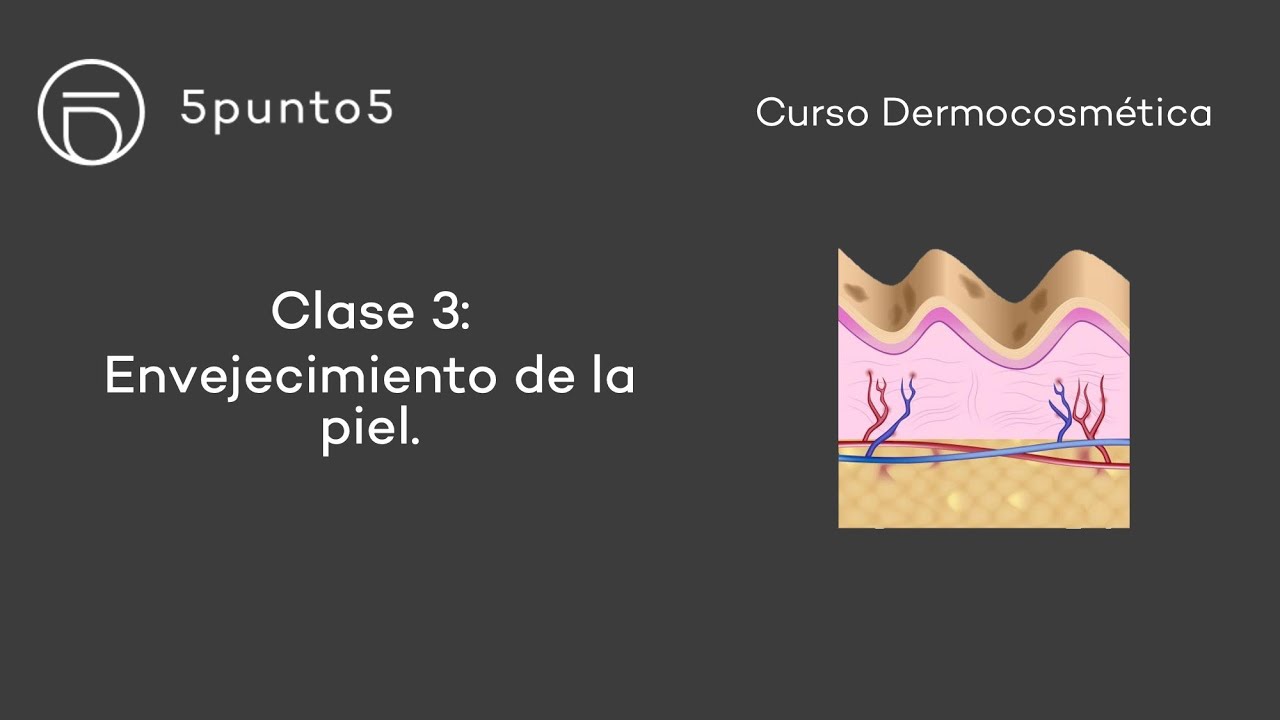 Curso Dermocosmética - Clase 3: Envejecimiento de la Piel
