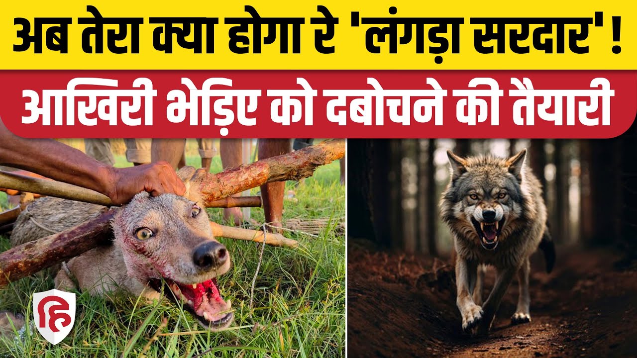 Bahraich Bhediya News: पकड़ा गया पांचवां आदमखोर, अब छठे को दबोचने की तैयारी। Bahraich Wolf Attack