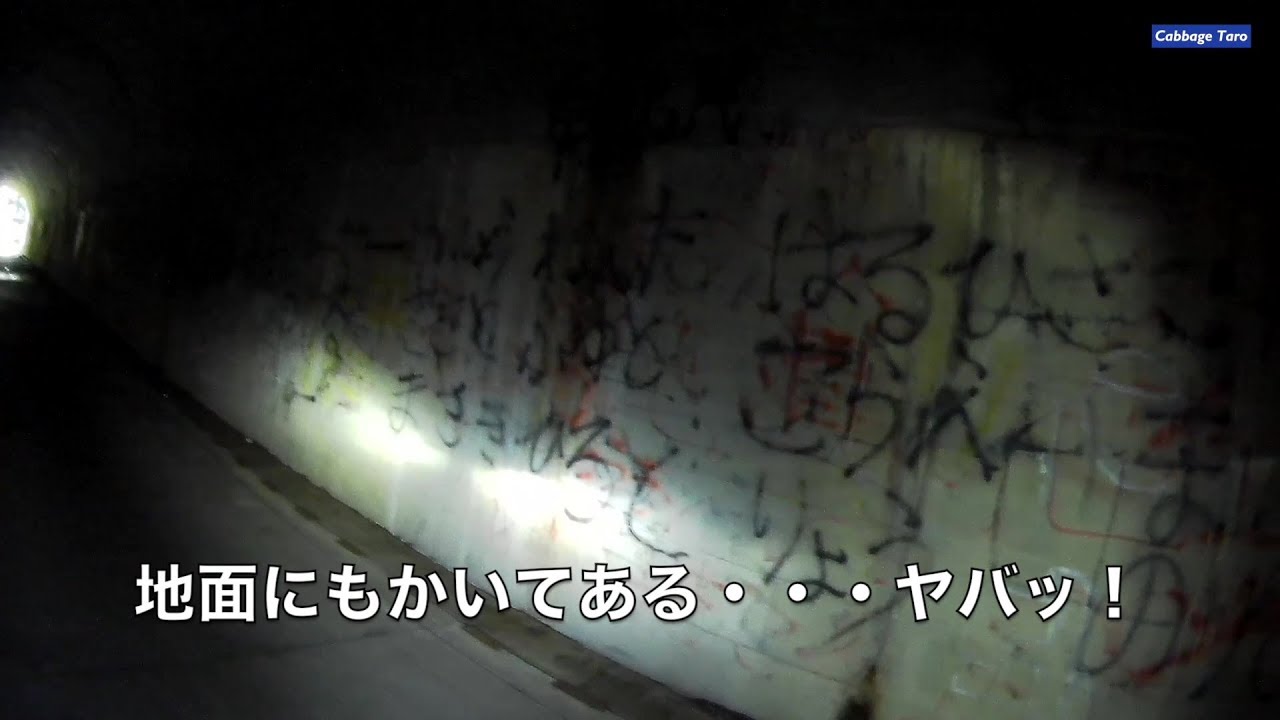大阪心霊 耳なし芳一トンネル　林道で滝畑ダムへ抜けるルートにある