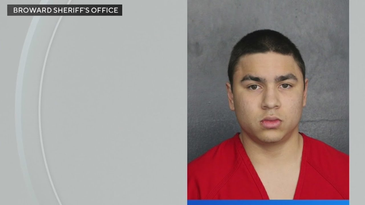 Teen charged in Weston indecent exposure case tried as adult