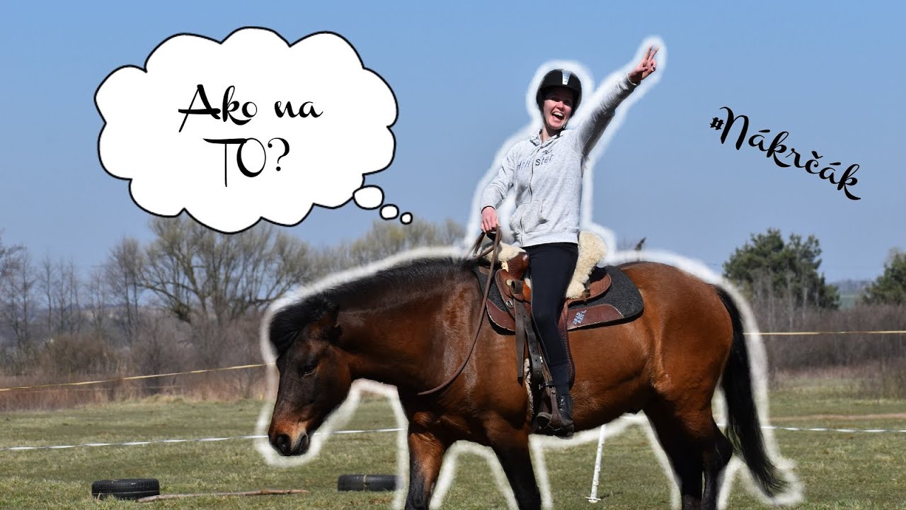Ako naučiť koňa jazdiť na nákrčáku? Prometheus