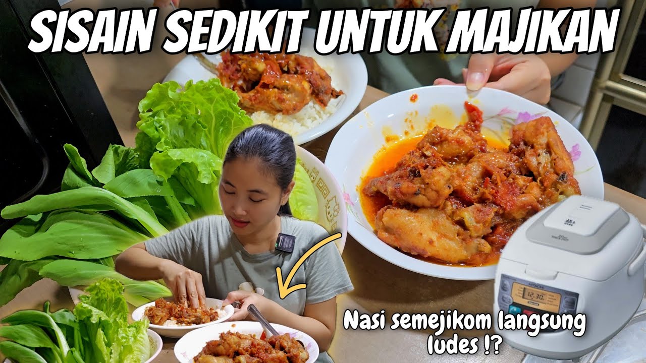 SISAIN SEDIKIT BUAT MAJIKAN‼️ KALAP NASI SEMEJIKOM LANGSUNG LUDES⁉️