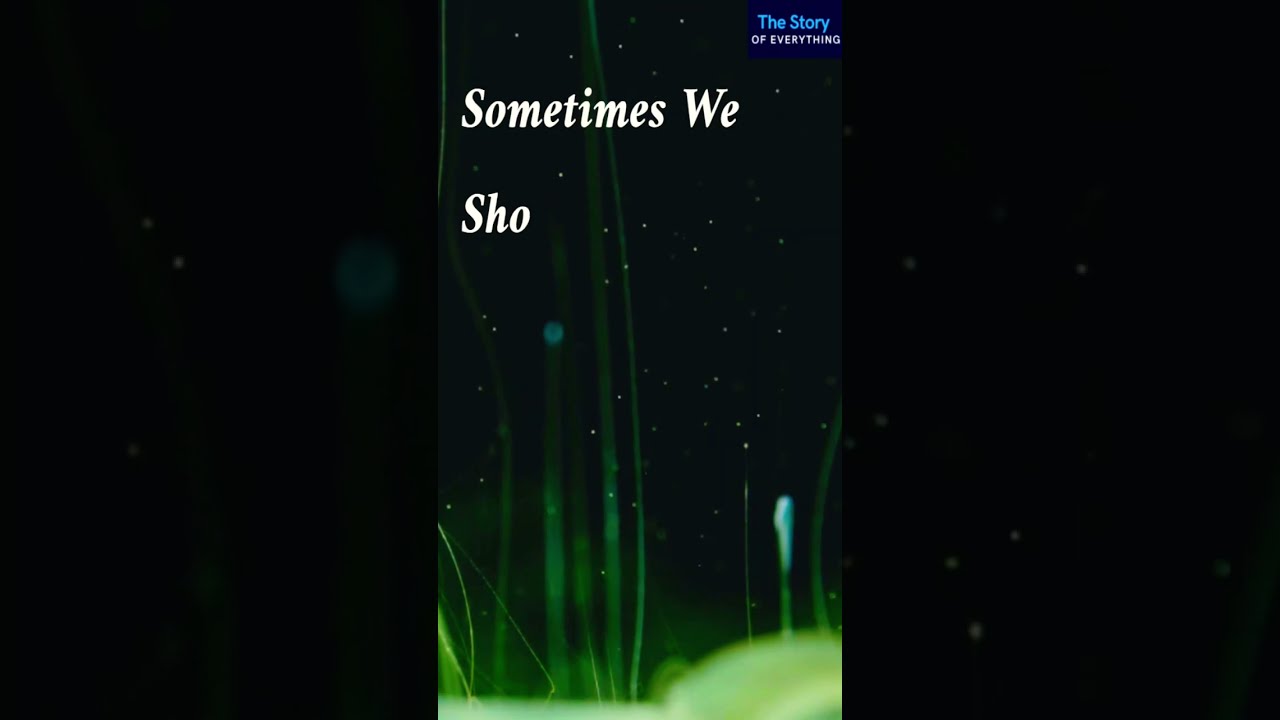 #morningmotivation Sometimes accept the non sincere #apology too #motivation #inspirational #shorts