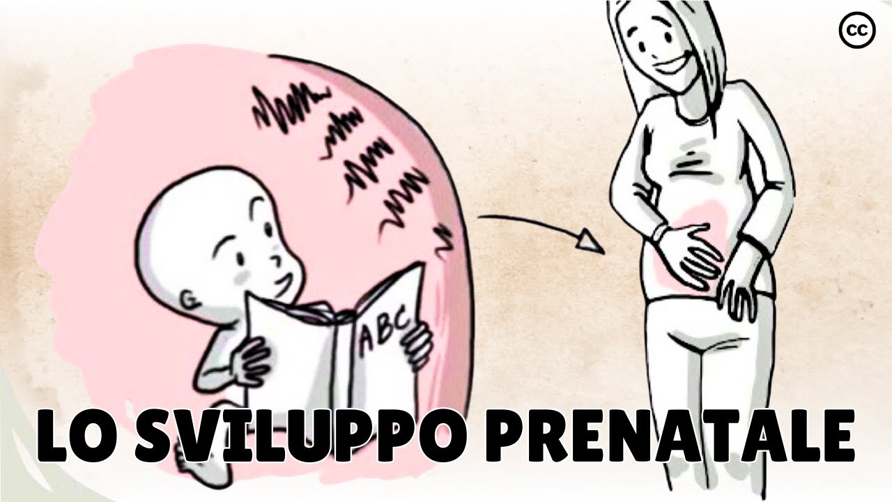 Lo sviluppo prenatale