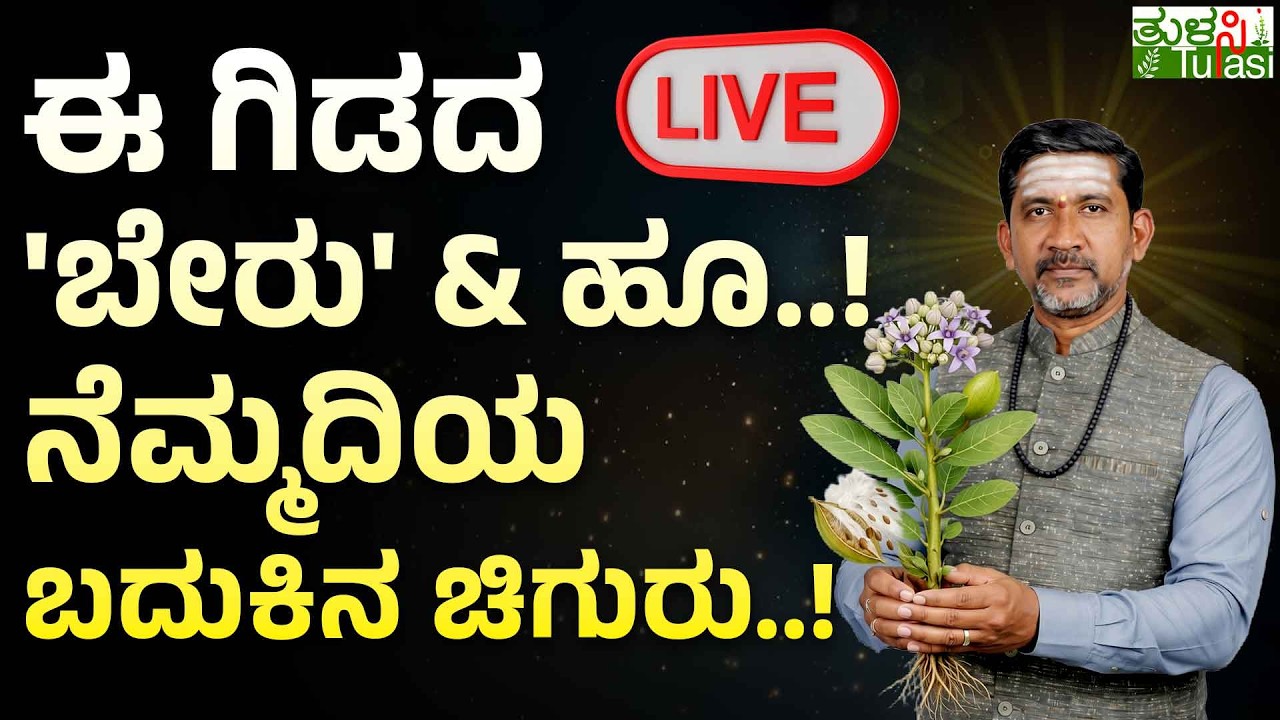 LIVE | The Hidden powers of Calotropis Gigantea|ಕಷ್ಟ ದೂರಾಗಿಸಿ ಜೀವನವನ್ನೇ ಬದಲಿಸುತ್ತೆ ಈ ಗಿಡದ ಬೇರು & ಹೂ!