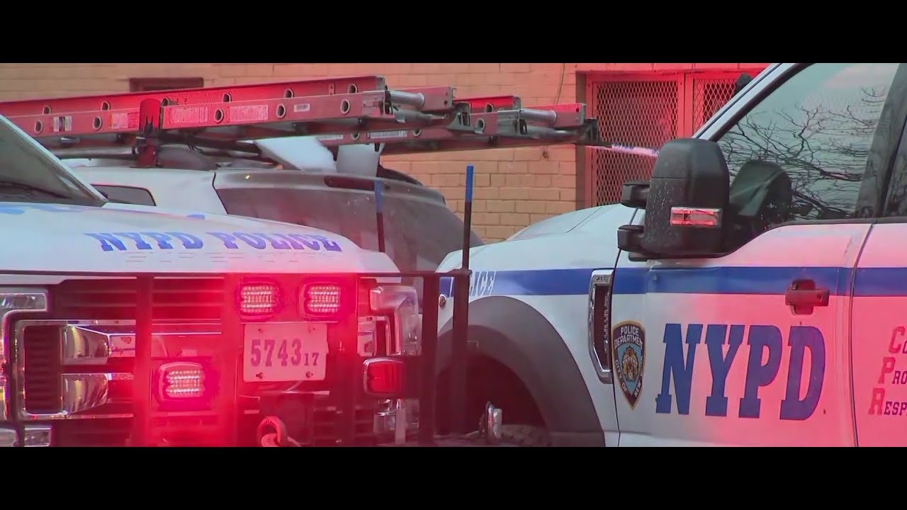 Man shot to death in Bronx subway station: NYPD