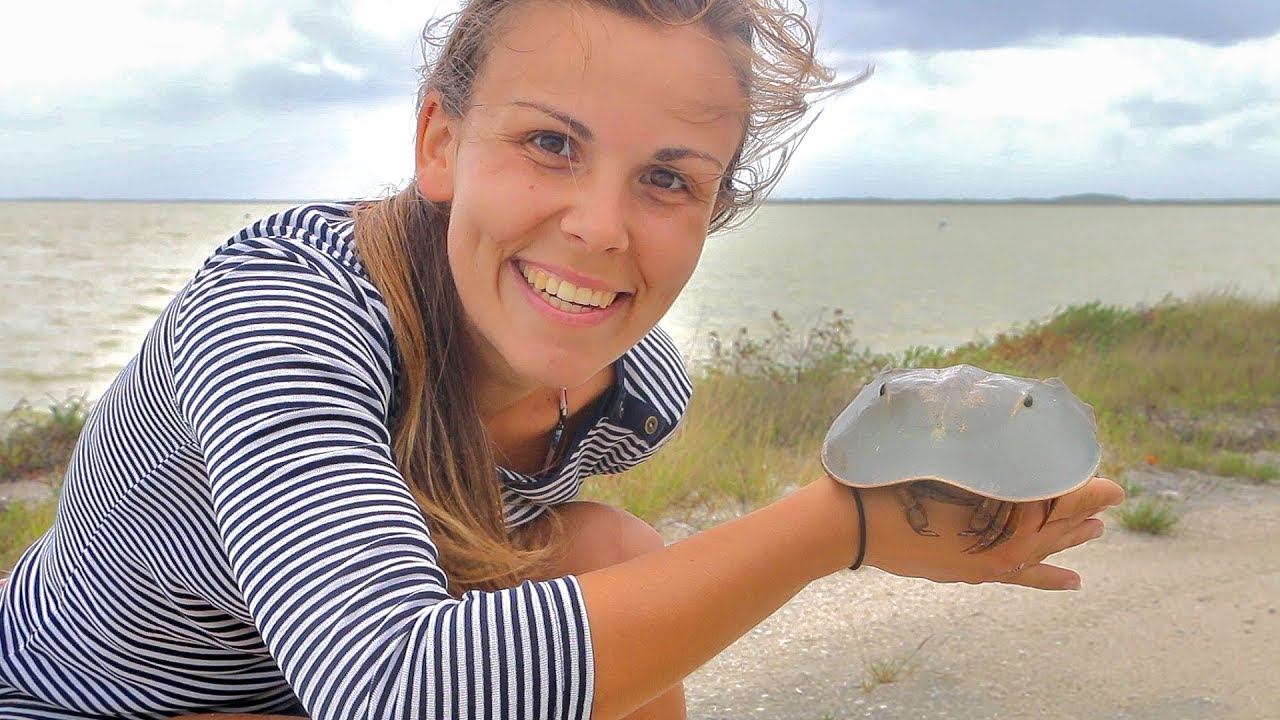 Vlog Rio Lagartos et Las coloradas en famille