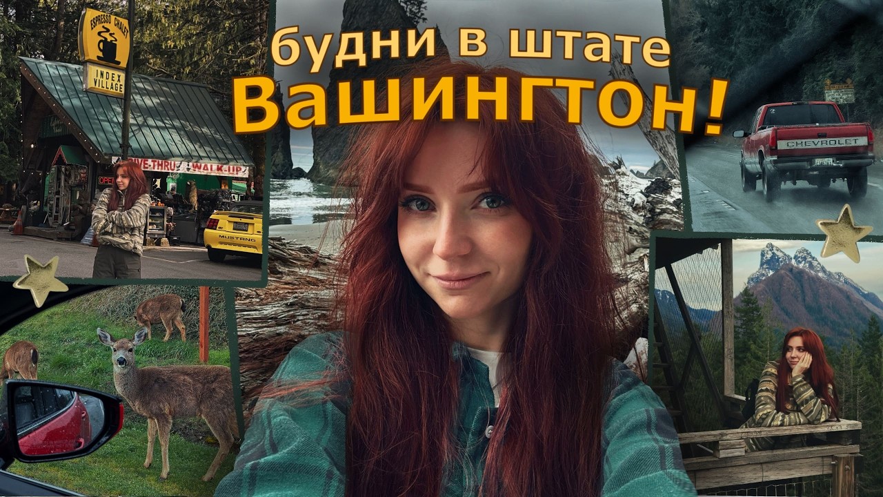 МОЯ ЖИЗНЬ после ПЕРЕЕЗДА в ШТАТ ВАШИНГТОН, США 🌲