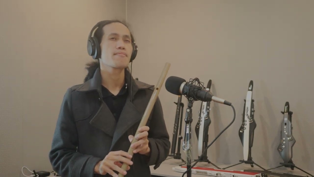 Mùa Chim Én Bay - Sáo Trúc ( Tuấn Sáo)