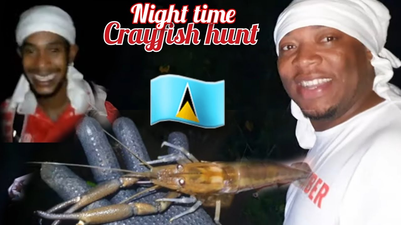 Crayfish hunting at night Flambeaute' Belle Vue river st lucia 🇱🇨